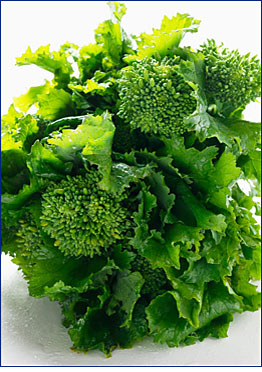 Rapini: 1. obrázek